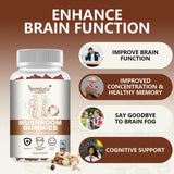 2 Packs 5000MG Mushroom Gummies -10 Blend Organic Mushroom Supplement containing Lion's Mane and Reishi for Brain and Immune Boosting, Vegan Blueberry Flavor, Non-GMO, 120 Counts