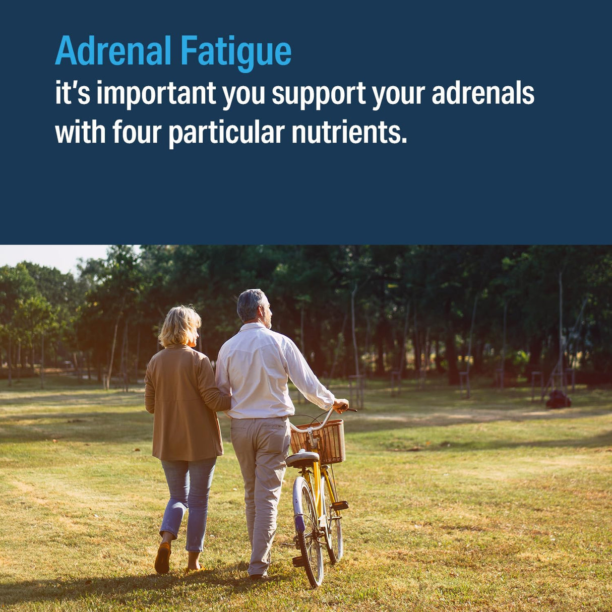 ADVANCED BIONUTRITIONALS – Advanced Adrenal Factor, Adrenal Gland Support for Cortisol, Energy, Adrenal Gland Function, Adrenal Cortex Extract, Non GMO, Gluten Free, Dairy Free, Vegan (120 Tablets)