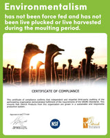 NEWONG 30pcs Black Ostrich Feathers Natural Bulk 11-14inch(28-35cm) Vase Craft Wedding Home Party Centerpieces Christmas Day Decoration