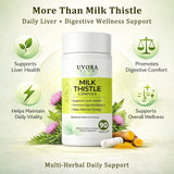 uvora Milk Thistle Capsules, Plant-Based Ingredient Formula with Turmeric, Inositol & Vitamin C – 60 Vegetarian Capsules, Non-GMO, Gluten Free