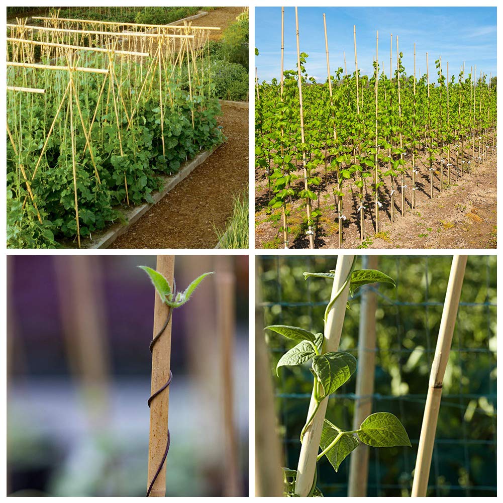 Mininfa Natural Bamboo Stakes 57 Inch (Approx 5 FEET), Eco-Friendly Garden Stakes, Plant Stakes Supports Climbing for Tomatoes, Trees, Beans, 20 Pack