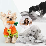 Nocciola Dog Squeaky Toys, Plush Small Dog Toys for Dogs, Stuffed with Squeakers,12 pcs Puppy Toys with a Carrying Bag for Small Medium Size