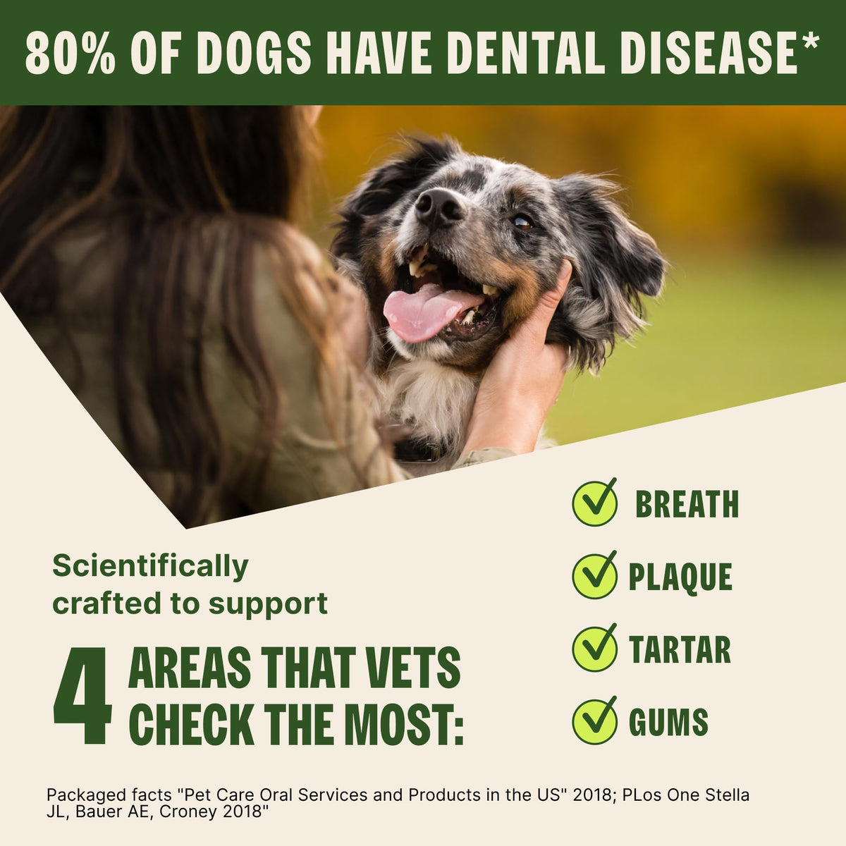 Wellness WHIMZEES Value Pack Natural Dog Dental Treat, Chews, Freshens Breath, Large Size, 50.9 oz Box, 24 Count