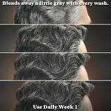 Just For Men Control GX Grey Reducing Shampoo, Gradual Hair Color with Keratin for Stronger Thicker and Healthier Looking Hair, 4 Fl Oz - Pack of 3 (Packaging May Vary)