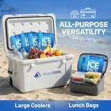 RIDGECOOL 4 Pack Large Reusable Ice Packs for Coolers, BPA-Free Freezer Packs for Cooler, Leakproof, Food Safe, Long Lasting, 9.8 x 8.6 in