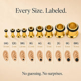 BodyJ4You 36PC Ear Stretching Kit - Complete Beginner Set Gauges for Ears 14G-00G - Goldtone Stainless Steel Tapers Single Flare Plugs Tunnels - Dead Stretching Lobe Men Women Expander Piercing