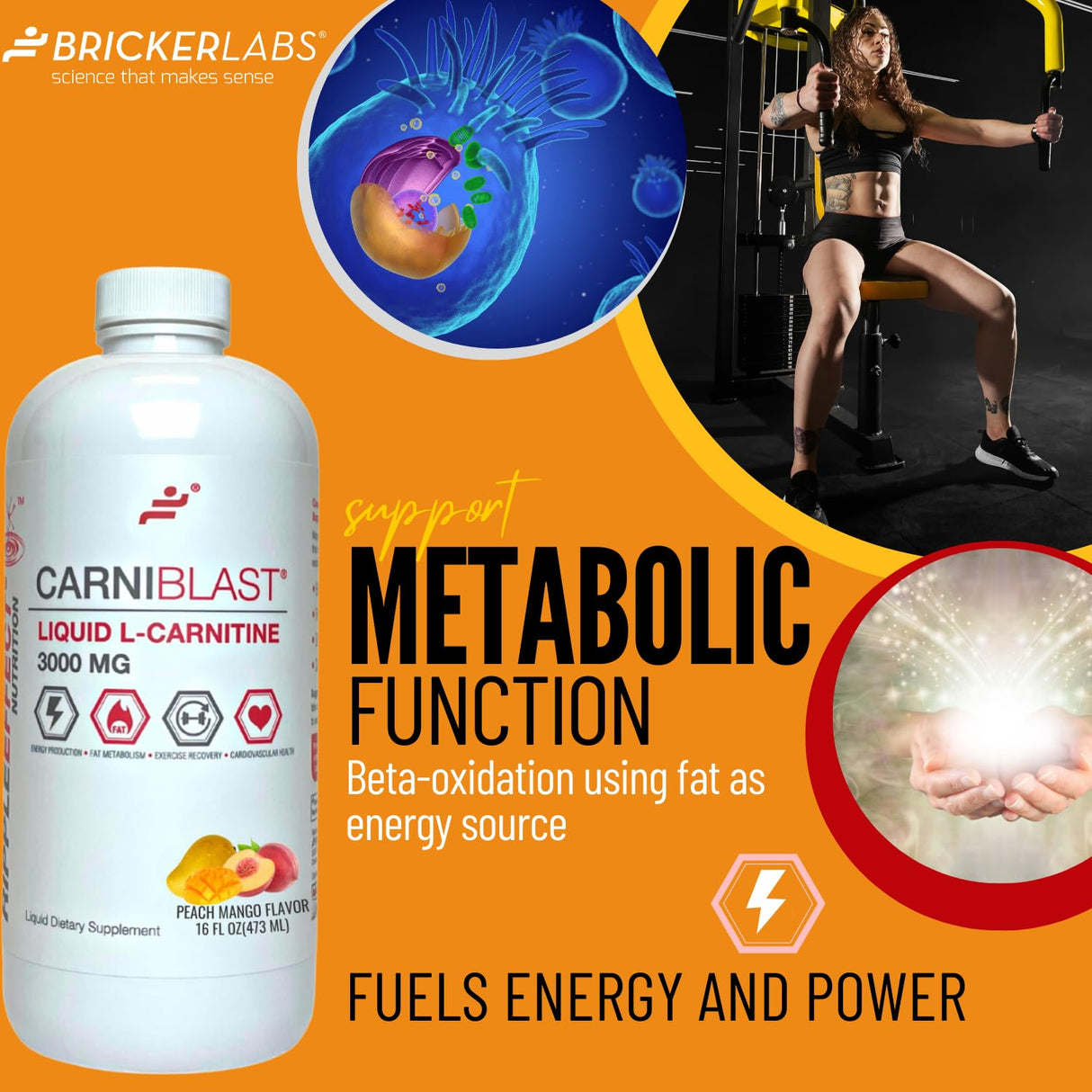 Bricker Labs CARNIBLAST Liquid L-Carnitine 3000mg, Premium L Carnitine Carnipure, Sports Nutrition, Energy Supplement and Energy Booster, Peach Mango 16 fl oz