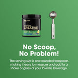 Optimum Nutrition Micronized Creatine Monohydrate Powder, Blueberry Lemonade Creatine, 60 Servings, 360 Grams (Packaging May Vary)