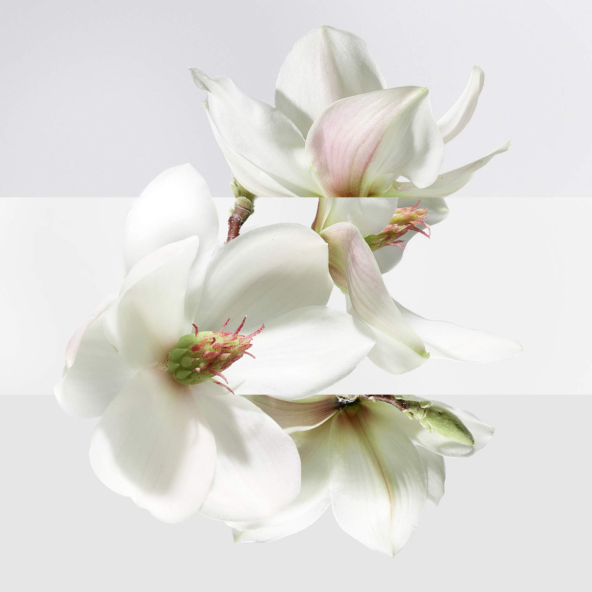 Un Jardin Sur La Lagune by Hermes for Women 3.3 oz Eau de Toilette Spray