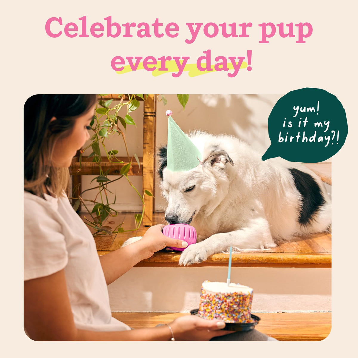 WOOF Pupsicle Interactive Dog Ball Toy for Dogs Large 25-75 lbs - Pink