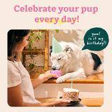 WOOF Pupsicle Interactive Dog Ball Toy for Dogs Large 25-75 lbs - Pink