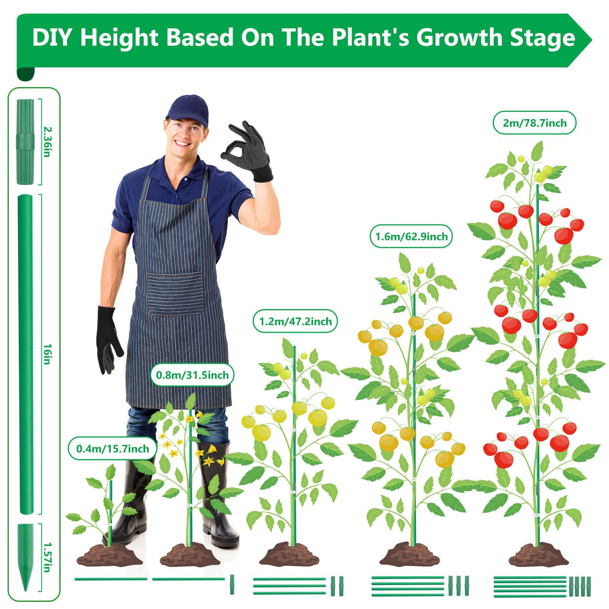 Lezmarket 80 Pack Garden Stakes(16" Each), Plant Support Stakes, DIY 4ft 5ft 6ft 7ft Sturdy Fiberglass Plant Sticks Support Garden Trellis for Growing Climbing Tomato Vegetables Flowers