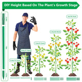 Lezmarket 80 Pack Garden Stakes(16" Each), Plant Support Stakes, DIY 4ft 5ft 6ft 7ft Sturdy Fiberglass Plant Sticks Support Garden Trellis for Growing Climbing Tomato Vegetables Flowers
