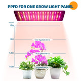 Barrina Grow Lights for Indoor Plants, 20W (2 x 10W) Full Spectrum Ultra-Thin Grow Light Panel with 3/6/12H Auto On/Off Timer for Hydroponics, Seedlings, Succulents, Veg, Flowers & More, 2-Pack