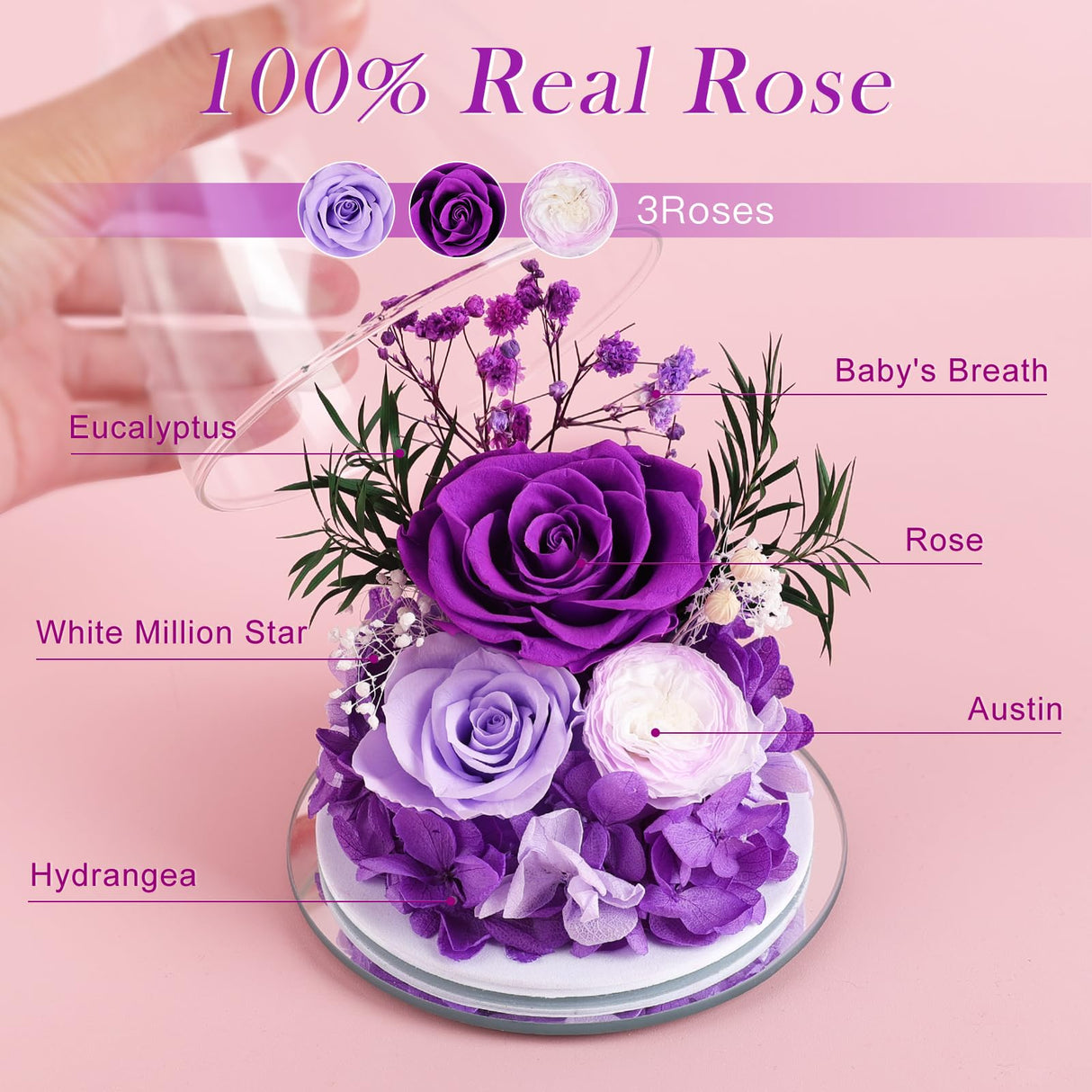 FIACO Gifts for Women Mom Preserved Rose Forever Flower in Glass Angel Figurine Fresh Flowers for Delivery Birthday Gifts for Grandma Wife Sister Christmas Anniversary Eternal Purple Roses