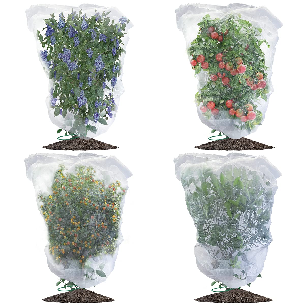 Evoio Bird Netting for Garden Blueberry Bushes Fruit Tree Netting Cover Plant Protection Mesh Bags with Drawstring, 4 Pack 4.6 x 5.9 ft Shrubs Bush Tomato Strawberry Berry Barrier Protectors Net