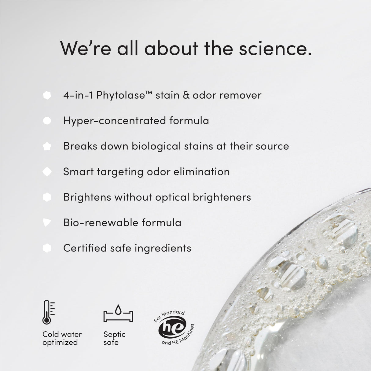 Dirty Labs | Hand Wash and Delicates | Scent Free | 32 Loads (8.6 fl oz) | Bio Enzyme Liquid Laundry Detergent | For Fine Silks, Wools, Handwash Garments | Hyper-Concentrated | Non Toxic, Biodegradable | Stain & Odor Removal