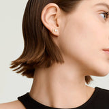 14K Gold Small Stud Earrings Set for Women Flat Back Earrings, 10 Pairs