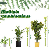 8 Pack Monstera Plant Support Stakes, Detachable Twig Plant Support