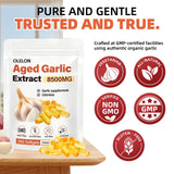 OLELON Aged Garlic Extract 350 Softgels - High Potency, Odorless, Non-GMO & Organic Garlic Supplement for Heart Health, Immune Support & Antioxidant Benefits