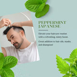 100% Pure Japanese Peppermint Essential Oil – Bulk Size, 16 fl oz | Therapeutic Grade, Steam Distilled, Mentha Arvensis