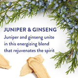 Native Deodorant Juniper and Ginseng - 2.65oz