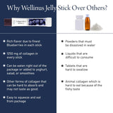 WELLINUS Blueberry Full of Collagen, Jelly Stick, Marine Collagen, Fast Absorbing, Snack, Ultra-Low Weight Molecular Marine Collagen, HACCP Certified, 22.05 oz/Pack of 25