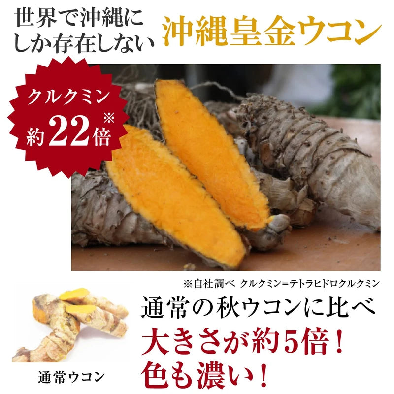 Ryukyu Shugo Densetsu 30 Packets (6 Packets x 5), Spring Turmeric (Made in Miyakoshima) and Autumn Turmeric (Okinawa Ohgon)