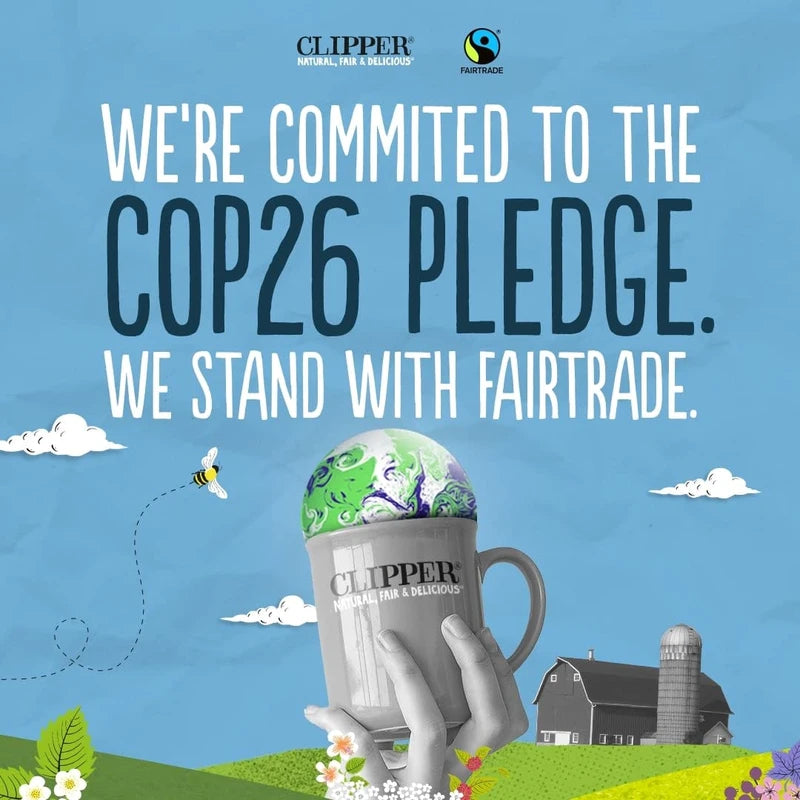 Clipper Organic Dandelion Tea Bags | 120 Dandelion Leaf Infusion Teabags (6 x Boxes of 20) | Bulk Buy for Home & Catering | Caffeine-Free Herbal Tea Bags | Natural, Unbleached & Biodegradable