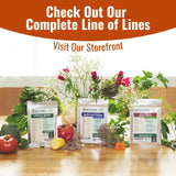 Vegetable & Fruit Seeds, 32 Packs, Non-GMO, 15,000+ Seeds