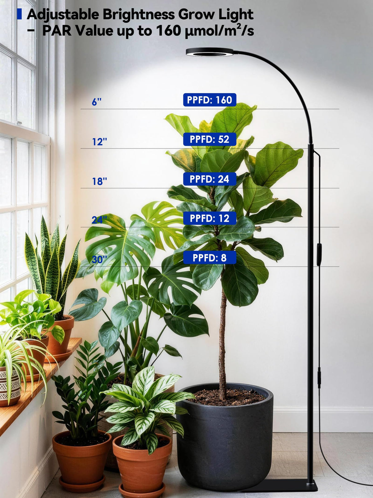 GLOWRIUM Grow Lights for Indoor Plants, Full Spectrum LED Grow Light Floor Lamp with Stand Adjustable Height and Angle, Black Plant Light with 3/9/12H Grow Light Timer (Black, Single Head)