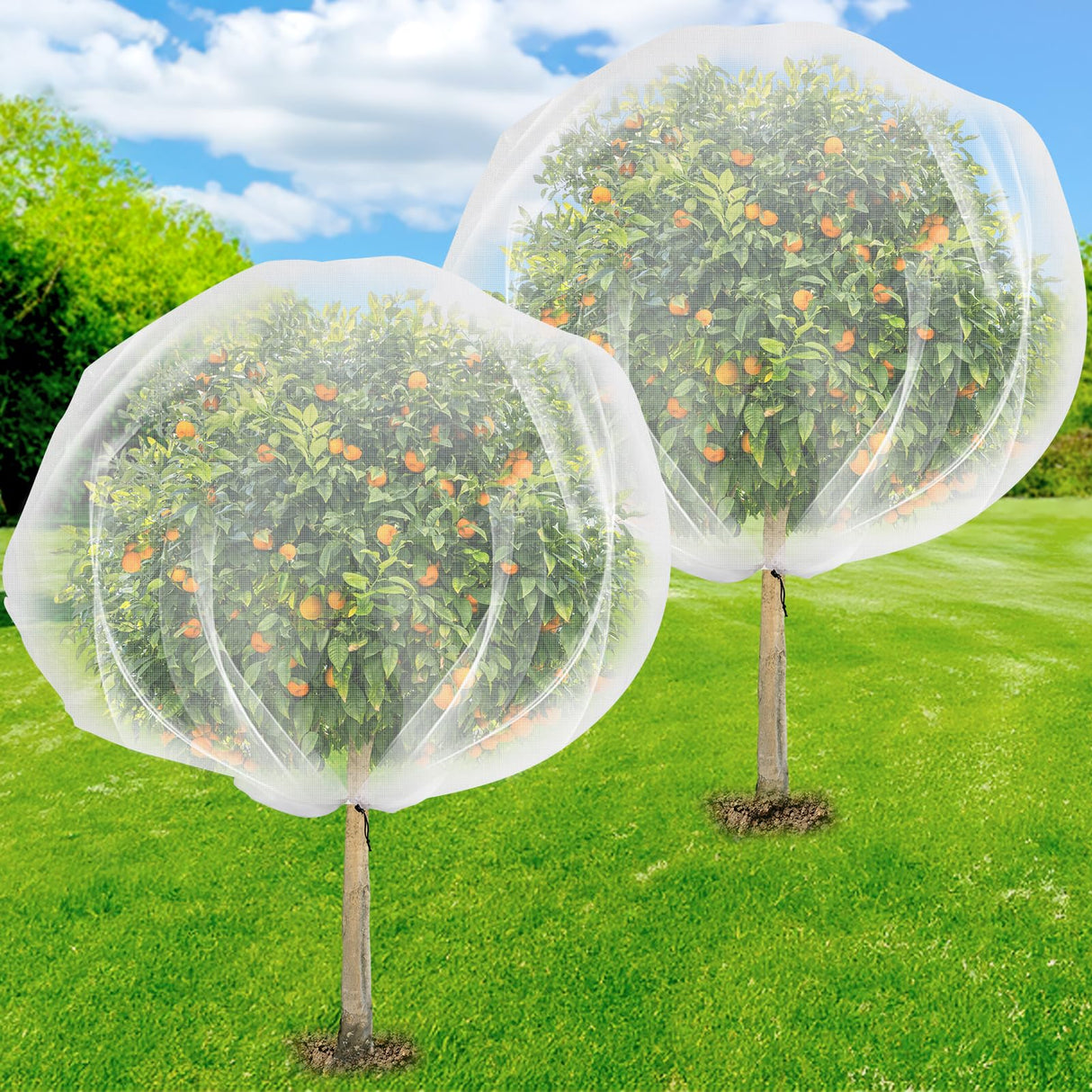 2 Pack 8.2 x 6.6 ft Fruit Tree Netting Covers with Drawstring