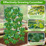 ROADPLUM 2 Pack Cucumber Trellis for Raised Garden Bed, Outdoor Sturdy Metal A-Frame Cucumber Trellis Support for Climbing Plants Vegetables with Accessories, Easy Installation & Easy Harvesting