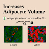 CELDYQUE 100% Pure Volufiline Concentrate Serum 2ea - Skin Firming Solution & Clinically Proven | Anti-Wrinkle, Enhances Facial Contours, Boosts Collagen for Sagging Mature Skin Korean Skincare