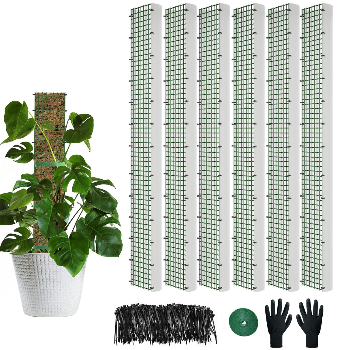 60"/40"/24" Metal Moss Pole, D Shape Sphagnum Moss Pole, Moss Poles for Climbing Plants, Monstera, Indoor Climbing Plants (6Pcs 40")