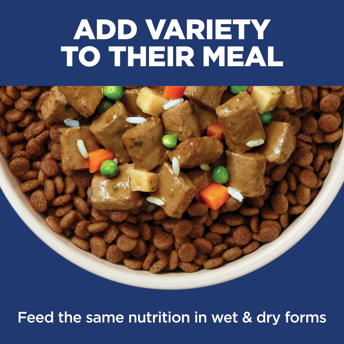 Hill's Science Diet Sensitive Stomach & Skin Small Bites Dry Dog Food