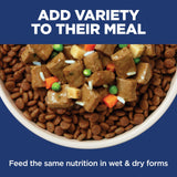 Hill's Science Diet Sensitive Stomach & Skin Small Bites Dry Dog Food