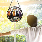 DASTOLL Stained Glass Window Hanging - 5 Cats on a Branch Suncatcher for Window Doors Home Decoration and Christmas, Mother's Day Father's Day Birthday Gifts for Women, Men, and Mom 6.3x6.3 in