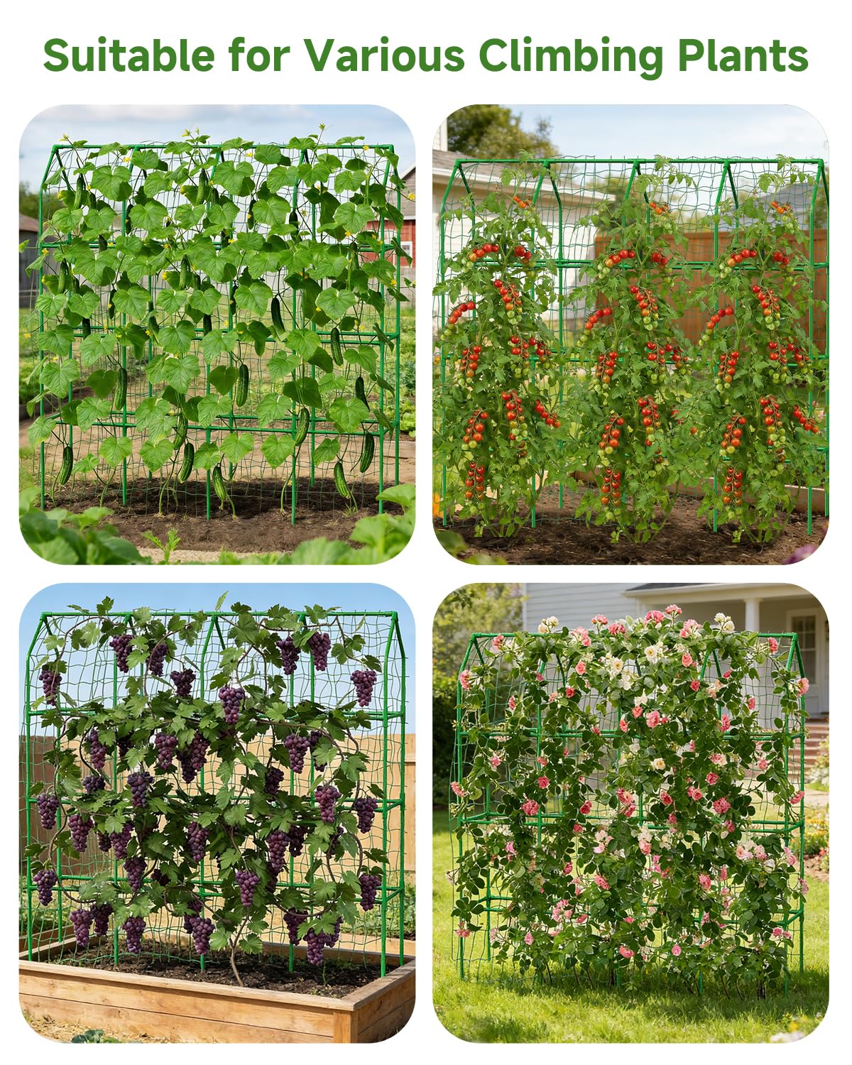 Cucumber Trellis for Climbing Plants Outdoor, A-Shape Garden Trellis for Raised Bed, Metal Plant Trellis with Garden Netting for Flower Vegetables, Pea, Grape ((67 * 17 * 65inch(L*W*H), Trellis)