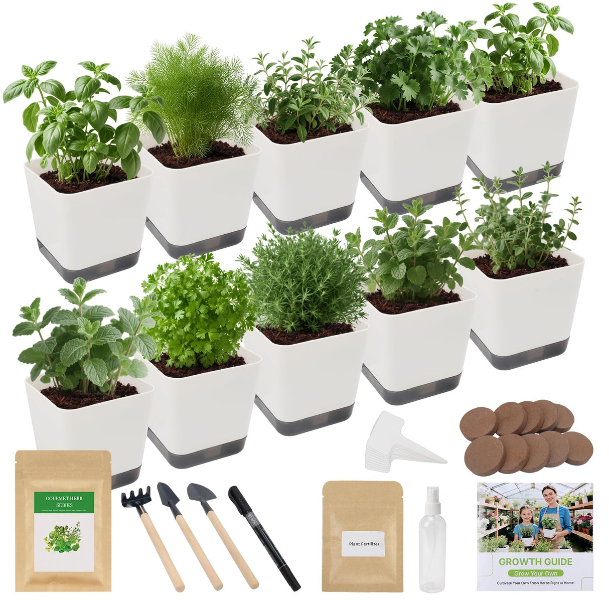 10-Set Indoor Herb Garden Starter Kit, 7 Seeds Growing into Basil, Parsley, Thyme, Mint, Cilantro, Dill, Oregano Including 10 White Pots, Markers, Nutritional Soil, Ideal Christmas Gifts for Women
