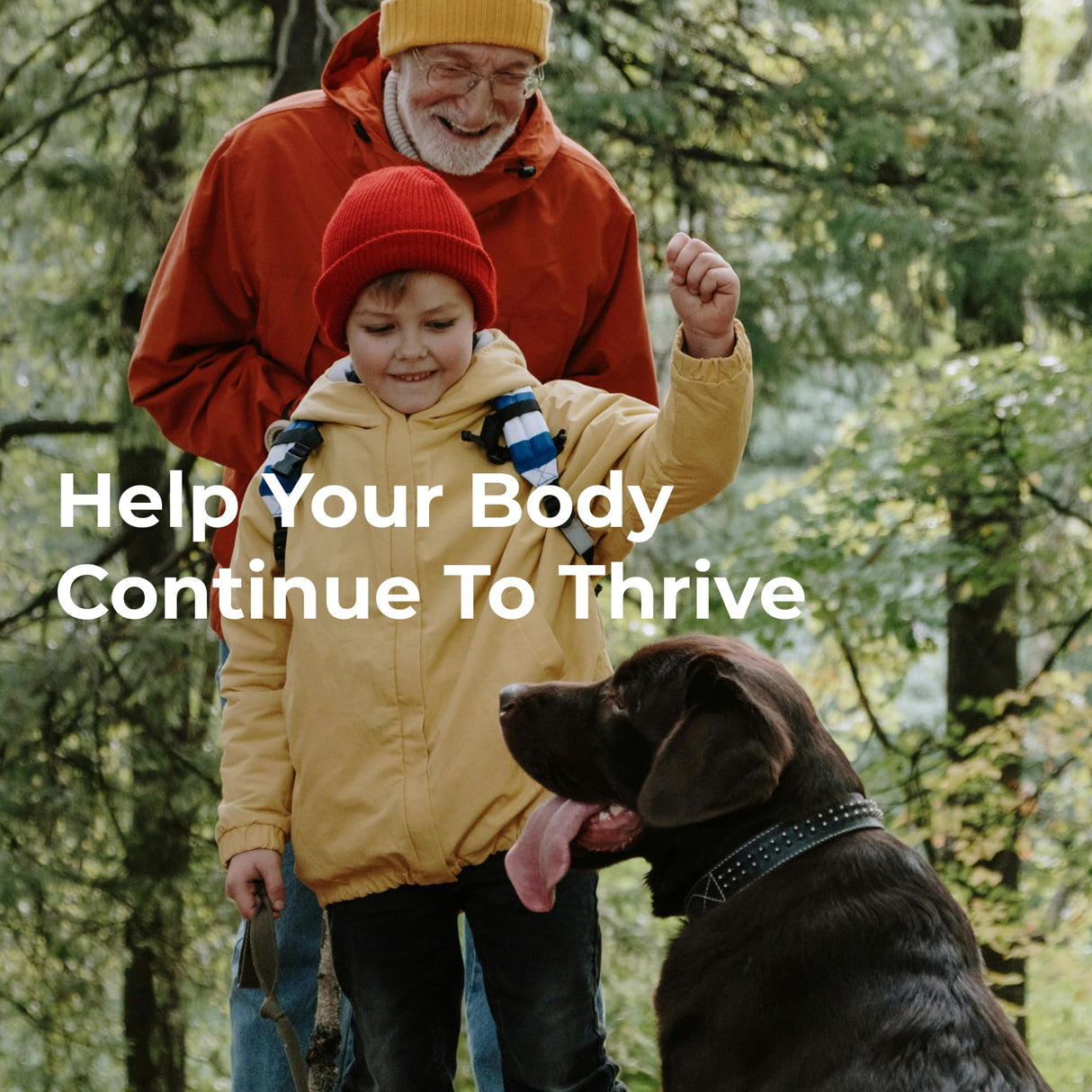 Youngevity On-The-Go Healthy Body Start Pak 2.0 - Includes Multi-Vitamins, Minerals, EFAs, & Amino Acids | 90 Essential Nutrients | 30-Day Supply