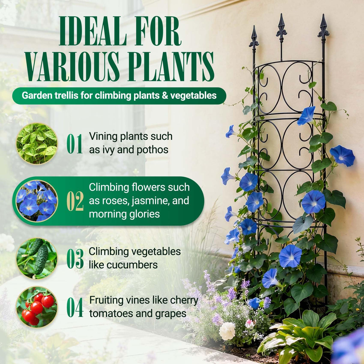 2 Pack 56.7'' H x 12'' W Garden Trellis for Climbing Plants Outdoor, Rustproof Metal Garden Flower Trellis, Rose Trellis for Outdoor Indoor Climbing Plants Clematis Vines Flowers Potted Plants, Tomato