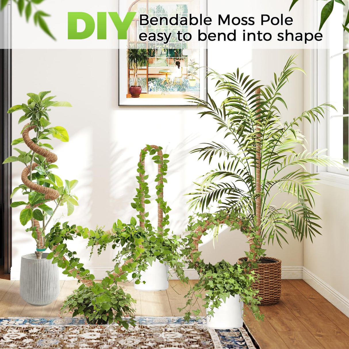 Moss Pole Monstera Plant Support 2 Pack 63 Inch Bendable Monstera Support