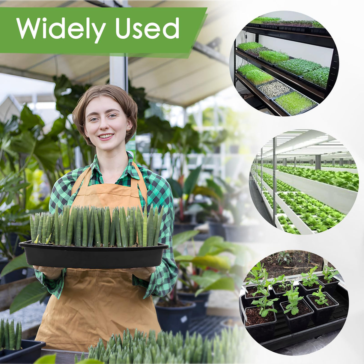 RMBHM Microgreens Growing Trays Kit – 6 Pack Micro Green Grow Trays with 12 Hemp Fiber Grow Mats, 15 x 11 x 2.5 Inch Seed Starter Trays for Growing Microgreens, Indoor Gardening