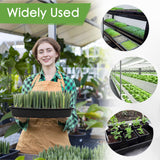 RMBHM Microgreens Growing Trays Kit – 6 Pack Micro Green Grow Trays with 12 Hemp Fiber Grow Mats, 15 x 11 x 2.5 Inch Seed Starter Trays for Growing Microgreens, Indoor Gardening