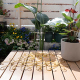 YOHSNOR 5PCS Monstera Plant Support Hooks-Gold 5.5in Stem Supports