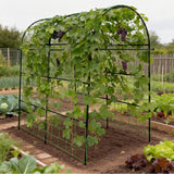 Trellume Garden Arch Trellis for Climbing Plants Outdoor - 83" H*71" W*43" L Large Rustproof Garden Trellis, Heavy Duty Grape Trellis, Tunnel Trellis for Melons, Pumpkins, Cucumbers, Peas(Black)