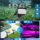 T-SUNUS Halloween Solar Color Landscape Spotlights Outdoor, IP65 Waterproof RGB Spot Light 2 Pack Auto Dusk to Dawn Landscaping Wall Lights for Christmas Tree Yard Garden Driveway Porch Walkway Pond