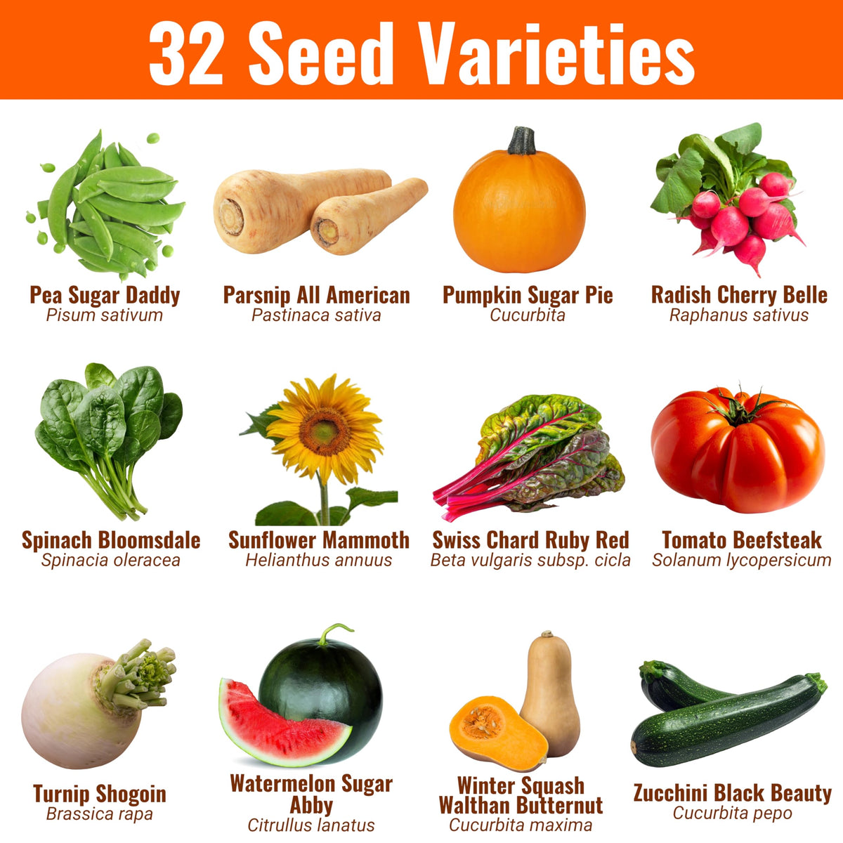 Vegetable & Fruit Seeds, 32 Packs, Non-GMO, 15,000+ Seeds