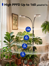GLOWRIUM Grow Lights for Indoor Plants, 36W Full Spectrum 2-Head LED Plant Light with Stand, Adjustable Height, 3/9/12H Timer, 6 Dimmable Levels & 3 Lighting Modes(Black-Double Head)